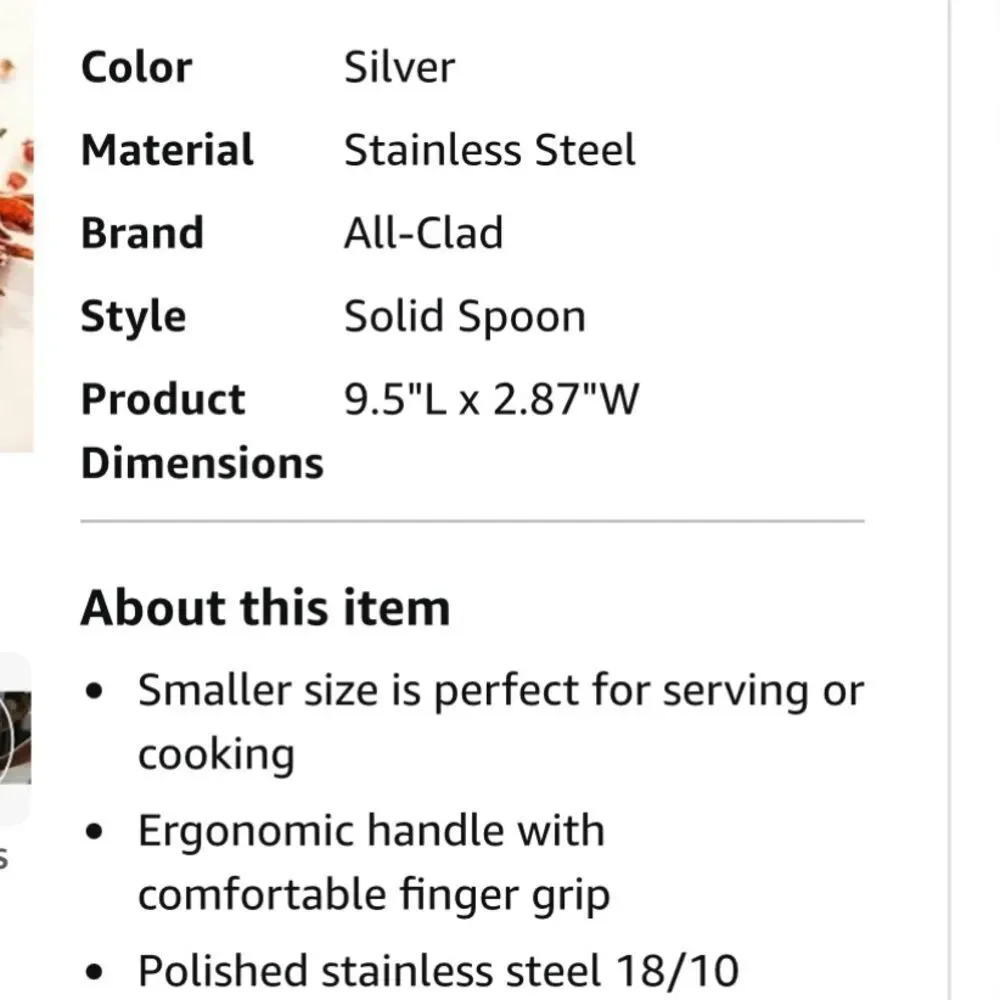 All Clad Cook & Serve Stainless Steel Solid Spoon